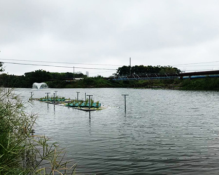 未標(biāo)題-黑偉黑偉沉水式風(fēng)機(jī)使用方便噪音?。? />
</p>
                </div>
                <div   id=