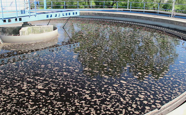 無(wú)懼污水之王！曝氣生物濾池如何清除骯臟污水？