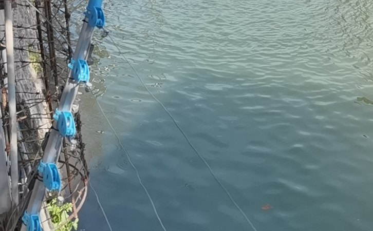 含硫化物廢水對(duì)沉水風(fēng)機(jī)電機(jī)絕緣性能有何影響